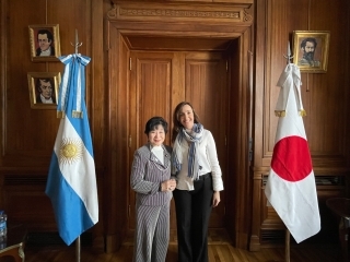 Vicepresidente VILLARRUEL